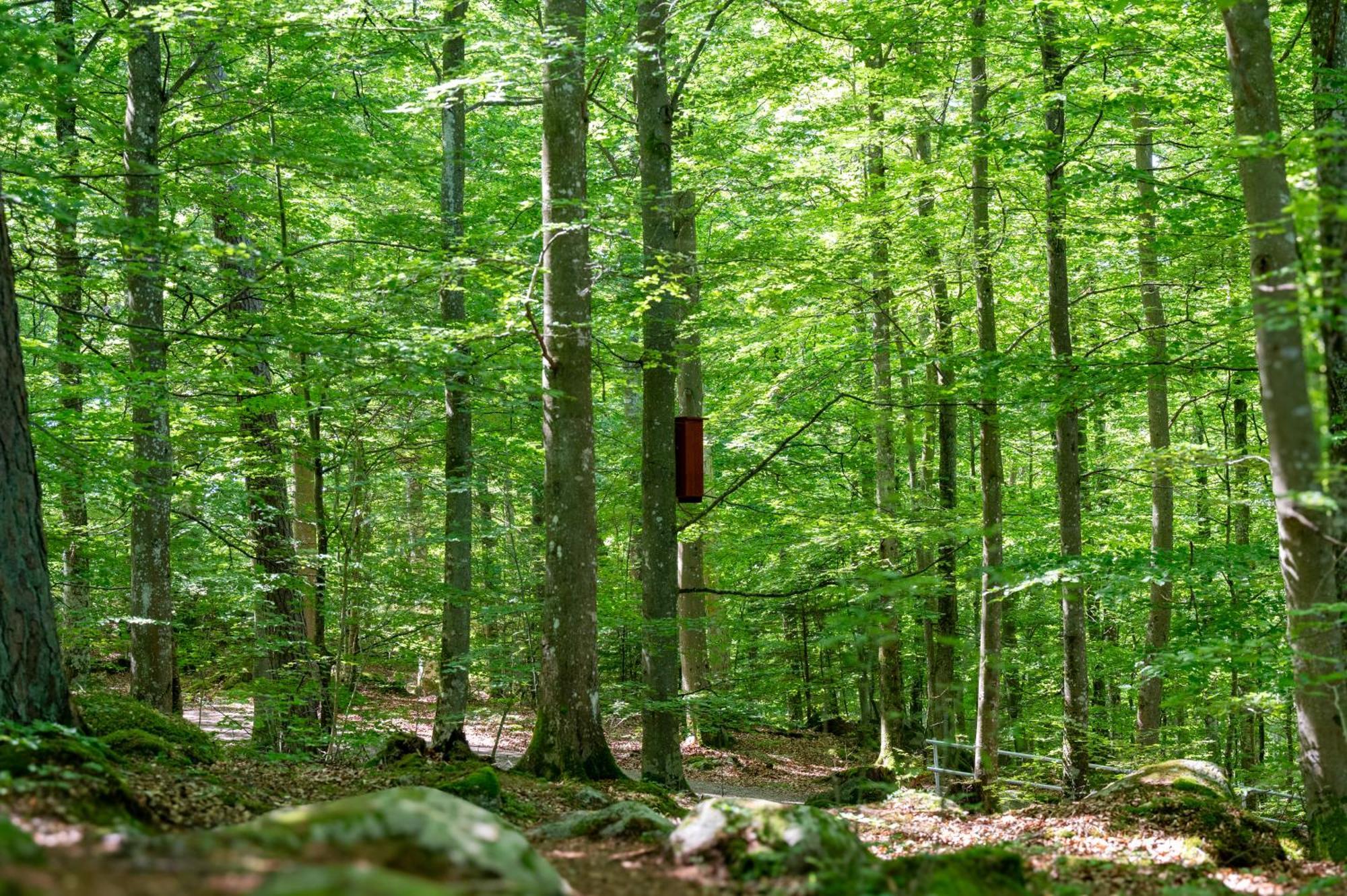Halens Camping Och Stugby Olofstrom Экстерьер фото